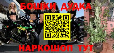 крисы Ипатово