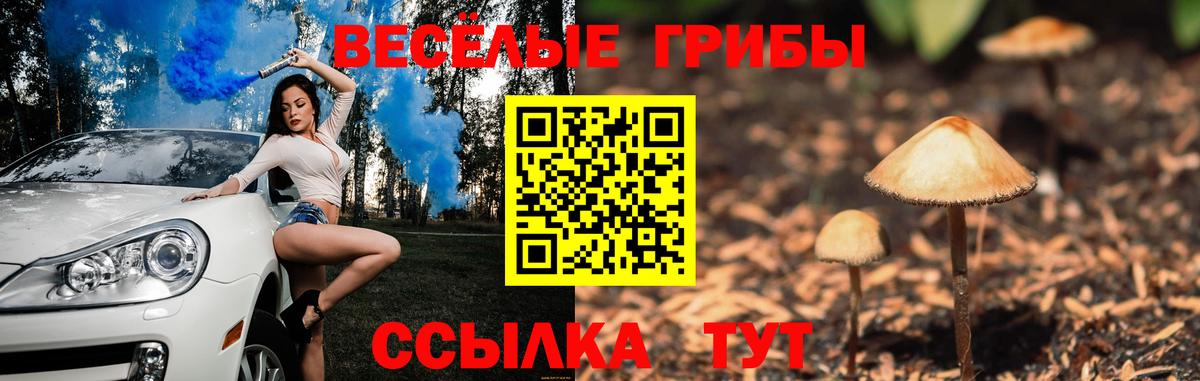 Псилоцибиновые грибы Psilocybine cubensis  Вход с VPN  даркнет сайт  Майский 